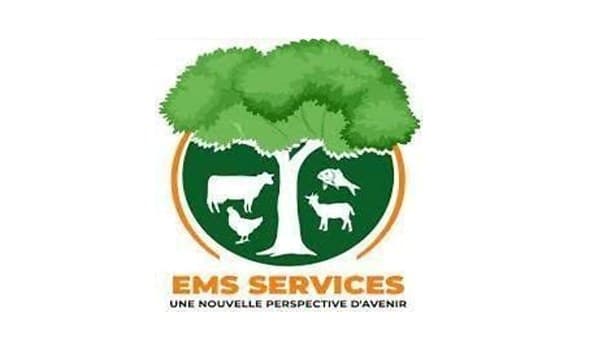 EMS Services
